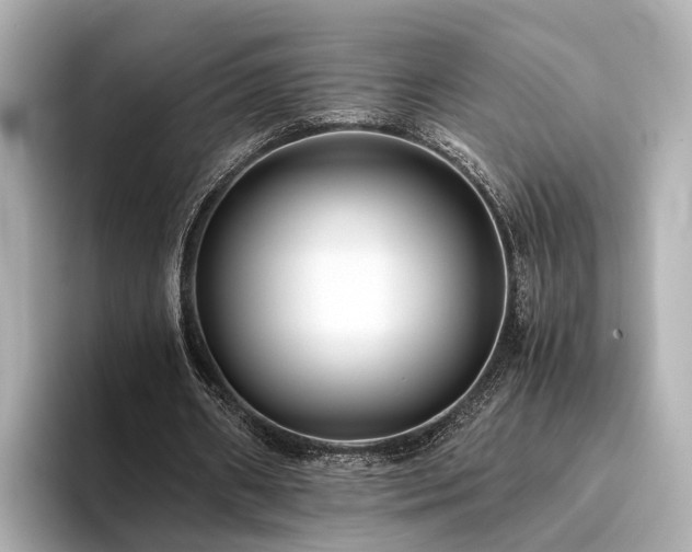 X0000094340482200711021453