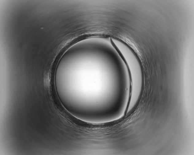 X0000094340483200711021453