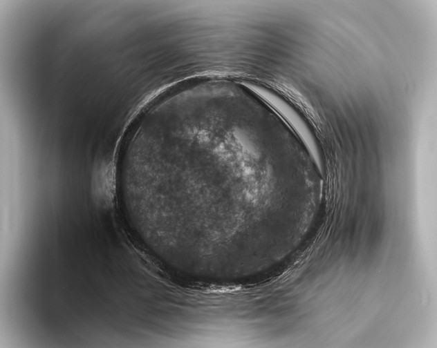 X0000094340484200711021453