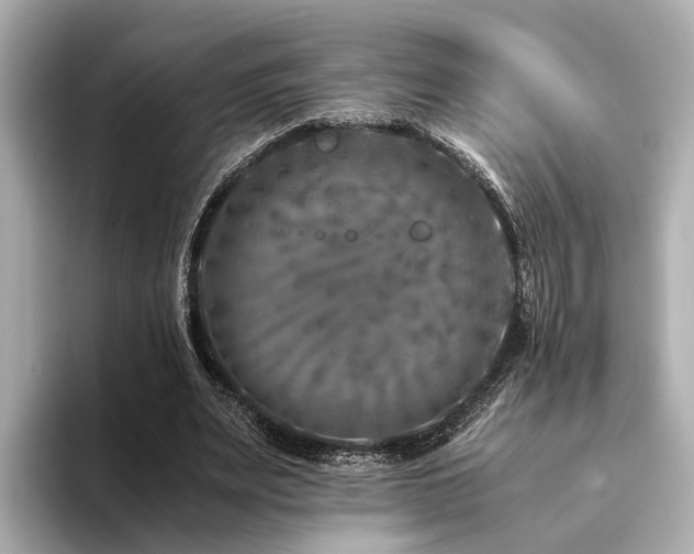 X0000094340487200711021453