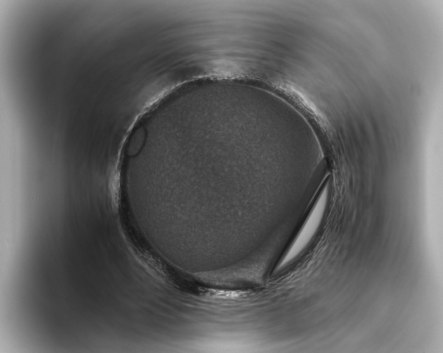 X0000094340488200711021453