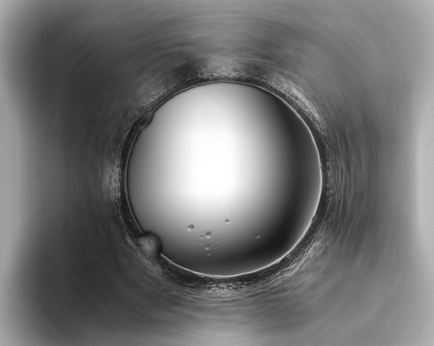 X0000094340489200711021453