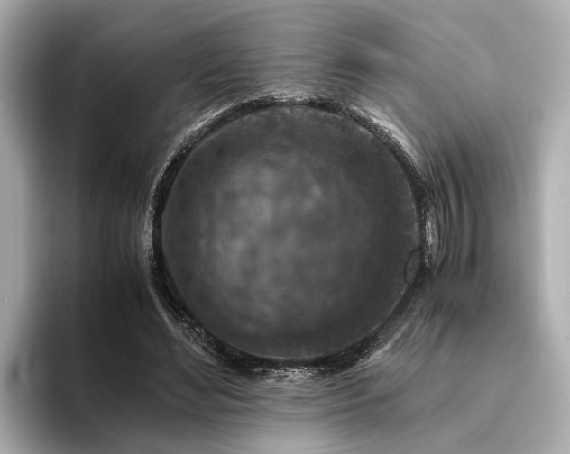 X0000094340492200711021453