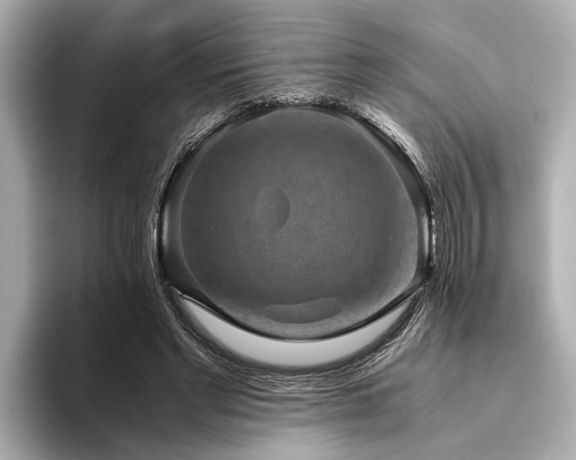 X0000094340493200711021453
