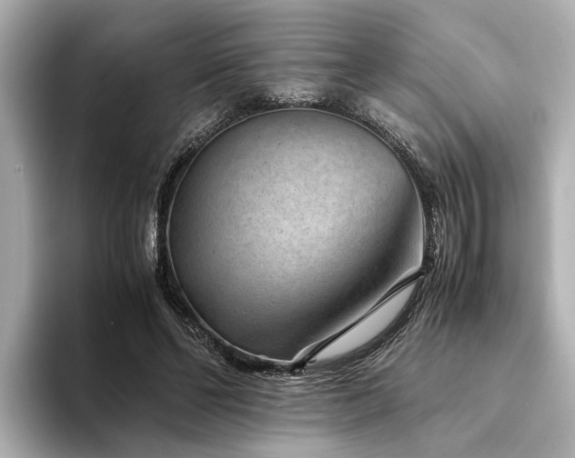 X0000094340494200711021453