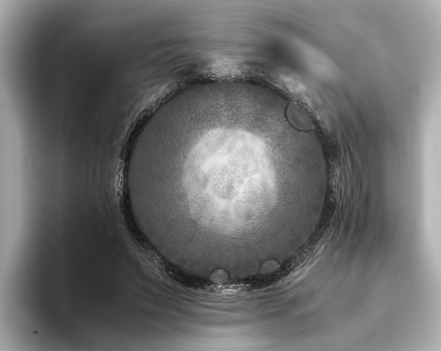 X0000094340495200711021453