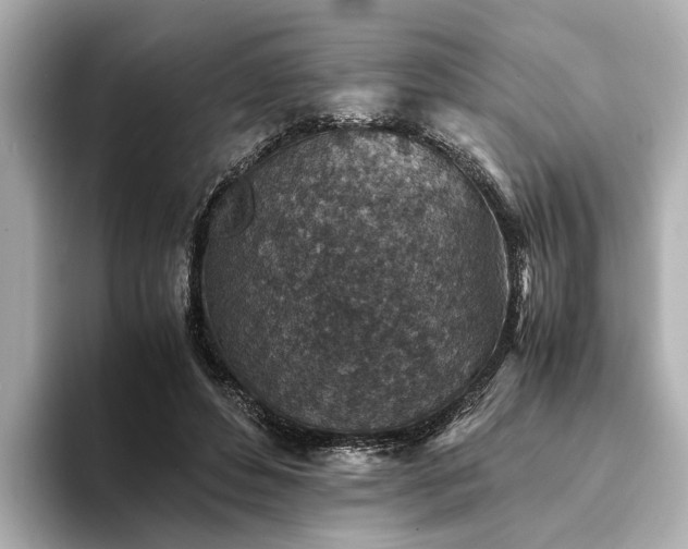 X0000094340496200711021453