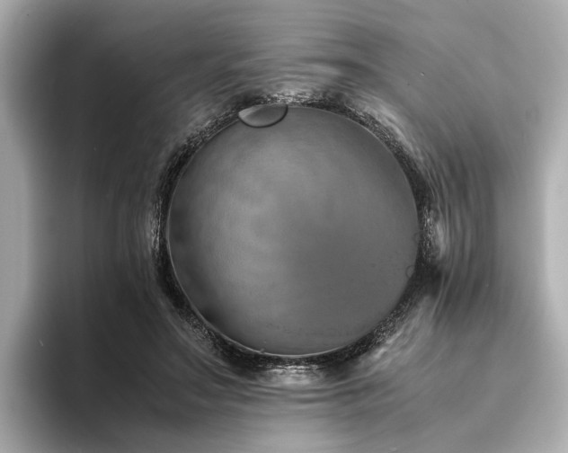 X0000094340499200711021453