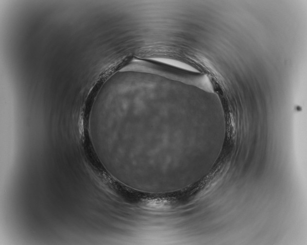 X0000094340500200711021453