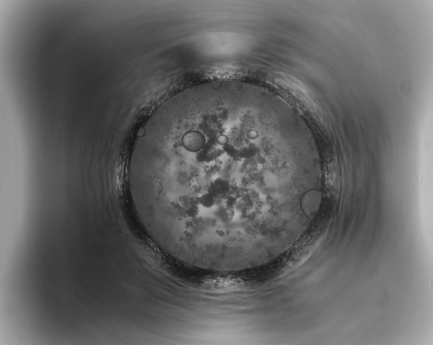 X0000094340503200711021453
