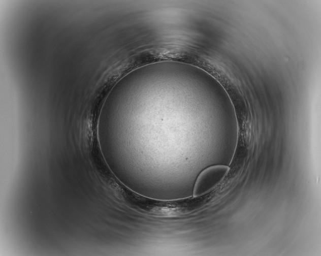 X0000094340506200711021453