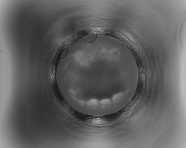 X0000094340507200711021453