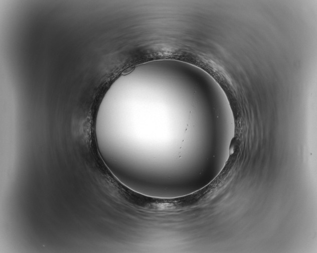 X0000094340509200711021453