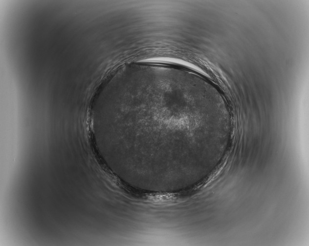 X0000094340517200711021453