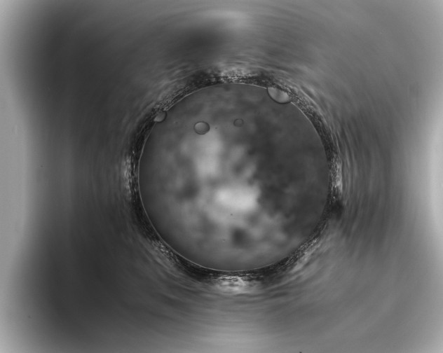 X0000094340519200711021453