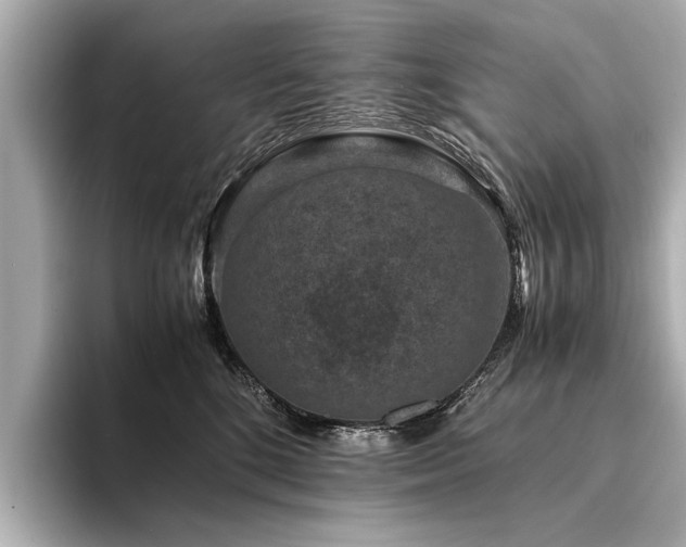 X0000094340520200711021453