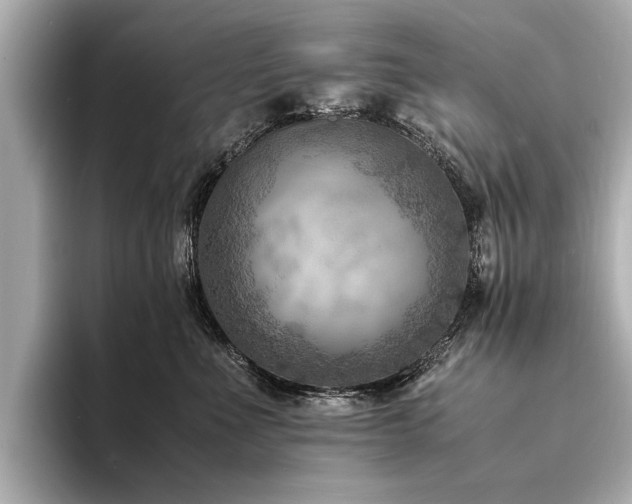 X0000094340523200711021453