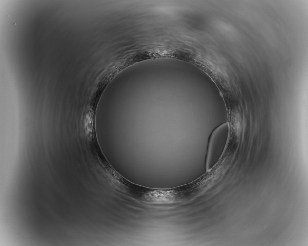 X0000094340526200711021453