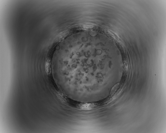 X0000094340527200711021453