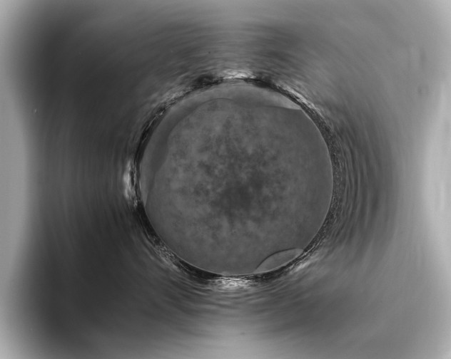 X0000094340528200711021453