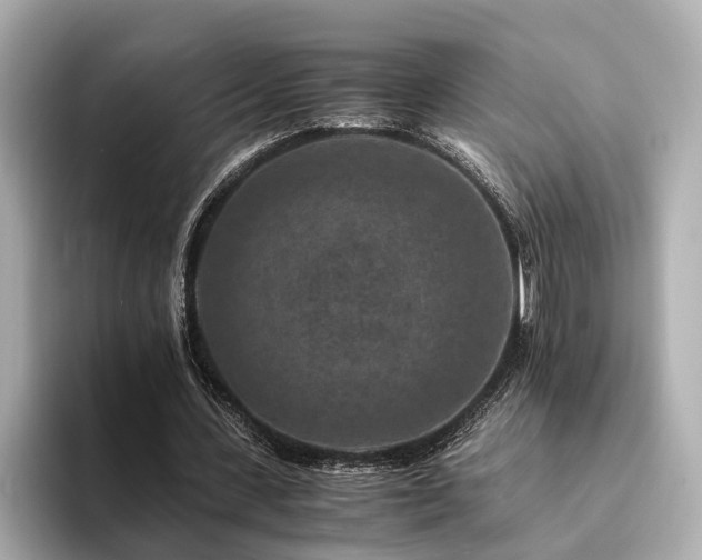 X0000094340531200711021452