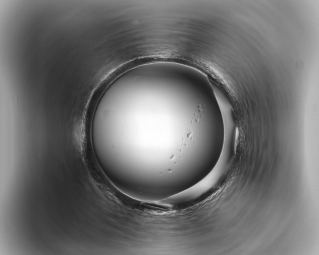 X0000094340532200711021452