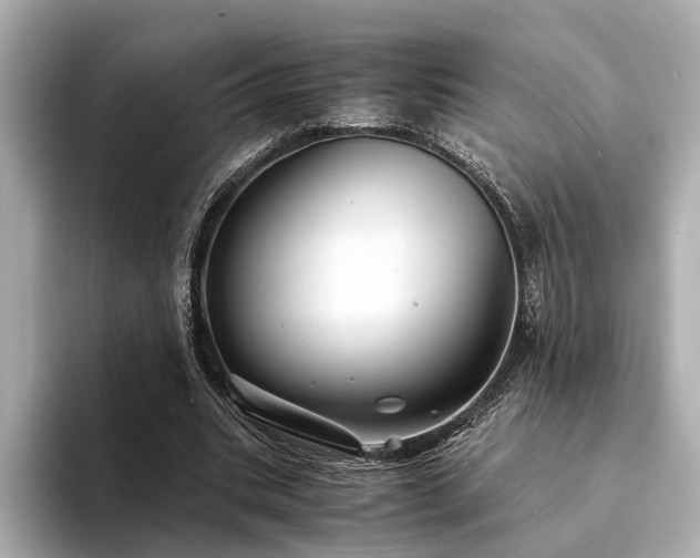 X0000094340535200711021452