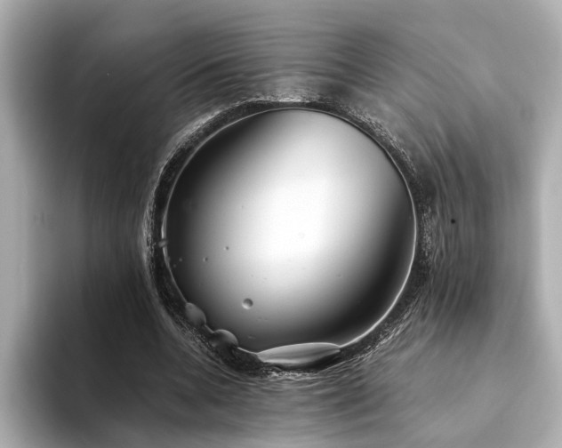 X0000094340536200711021452