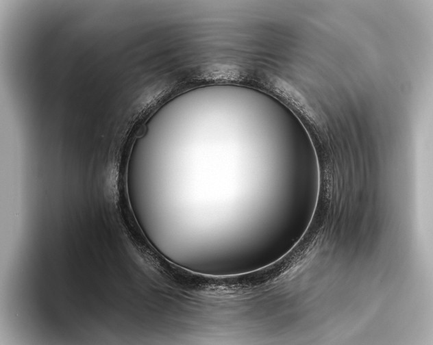 X0000094340538200711021452