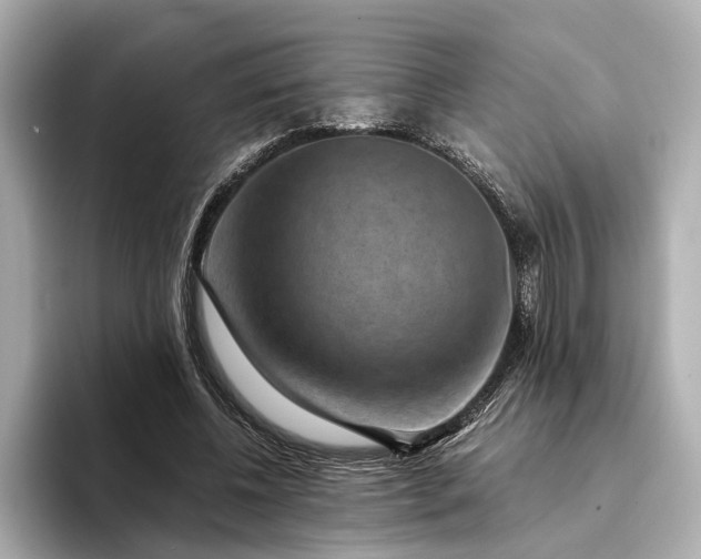X0000094340540200711021452