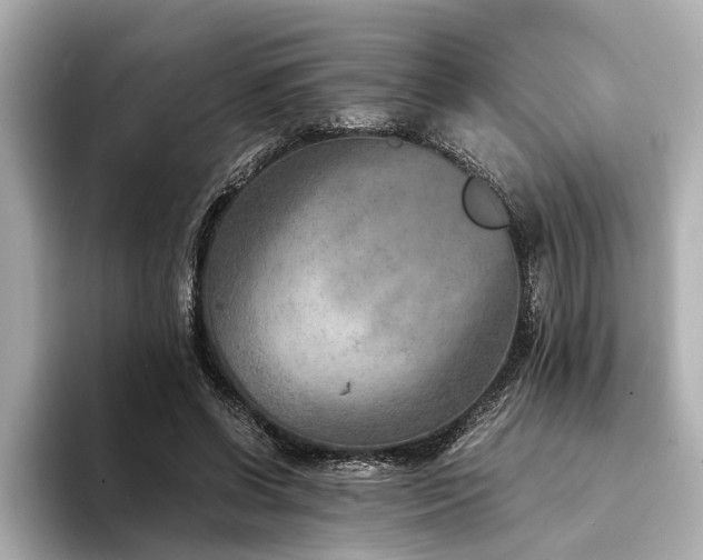 X0000094340542200711021452