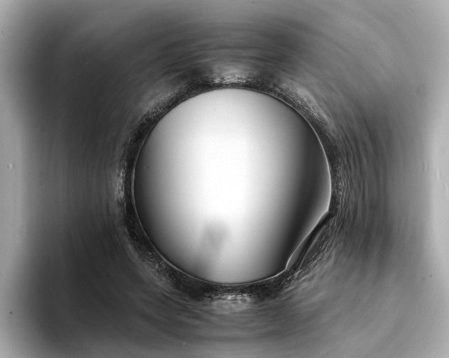 X0000094340543200711021452