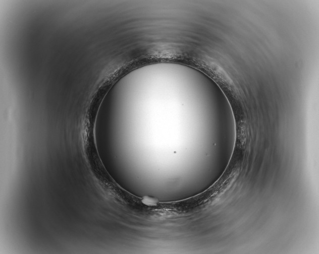 X0000094340544200711021452