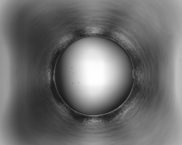 X0000094340546200711021452