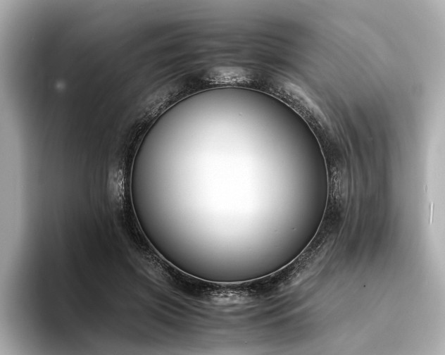 X0000094340549200711021452