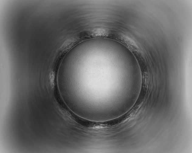 X0000094340550200711021452