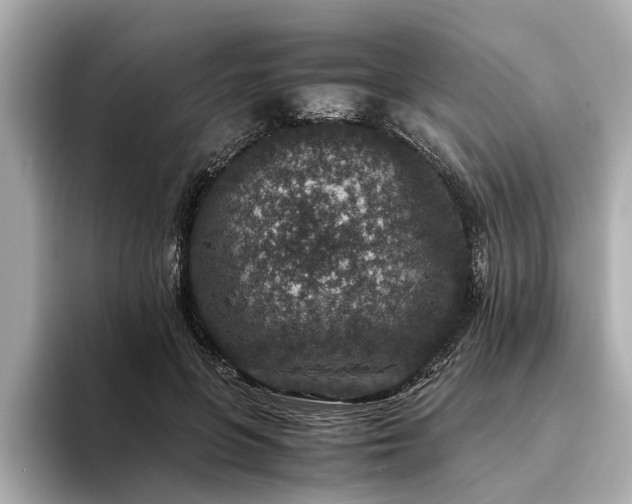 X0000094340551200711021452