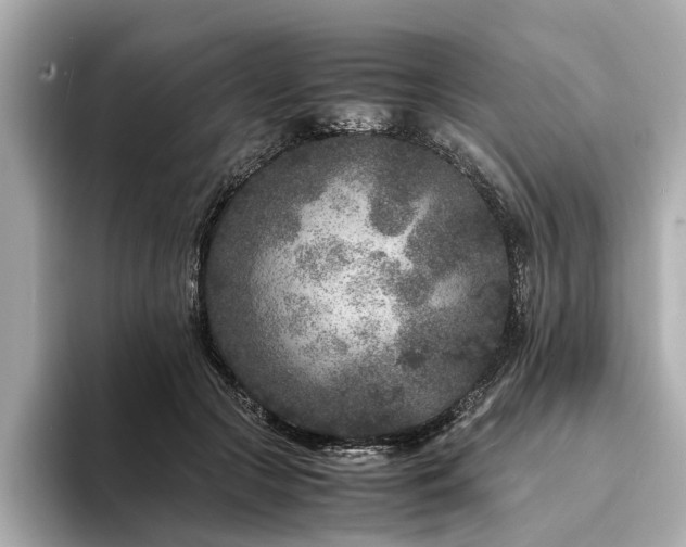 X0000094340553200711021453