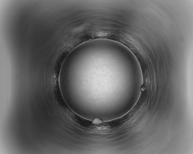 X0000094340555200711021453