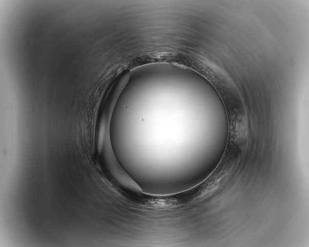X0000094340558200711021453