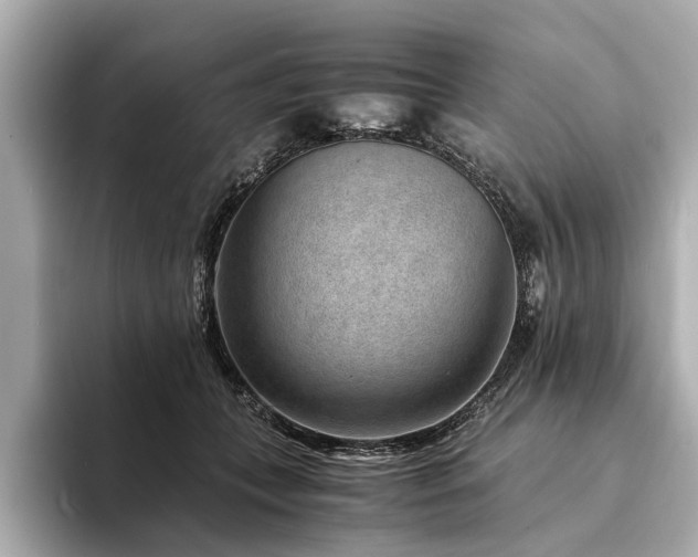 X0000094340559200711021453