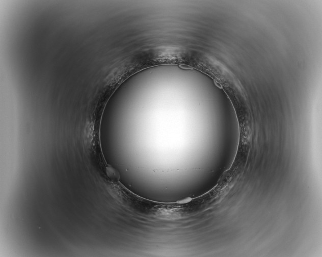 X0000094340560200711021453
