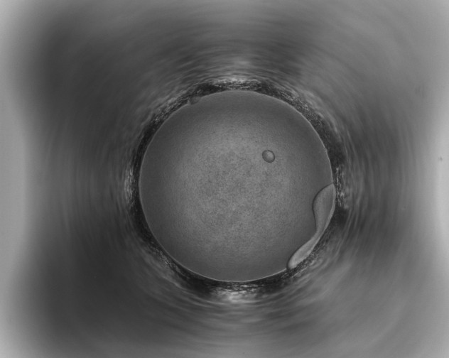 X0000094340563200711021453