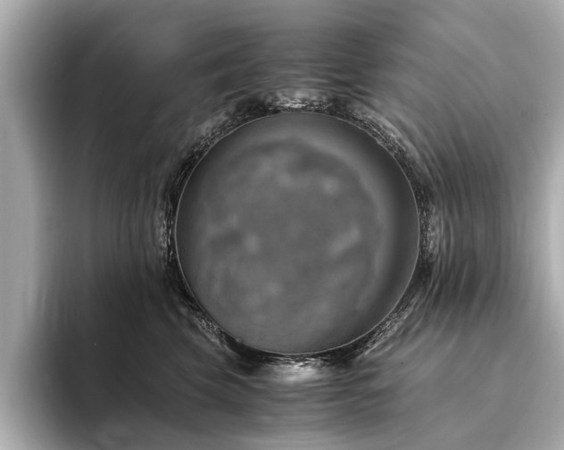 X0000094340569200711021453