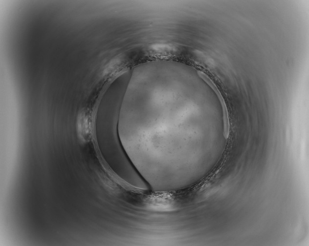 X0000094340576200711021453