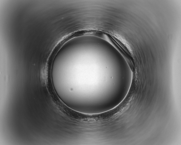 X0000094340580200711021452
