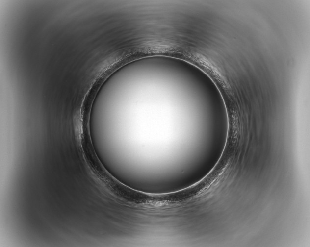 X0000094340582200711021452