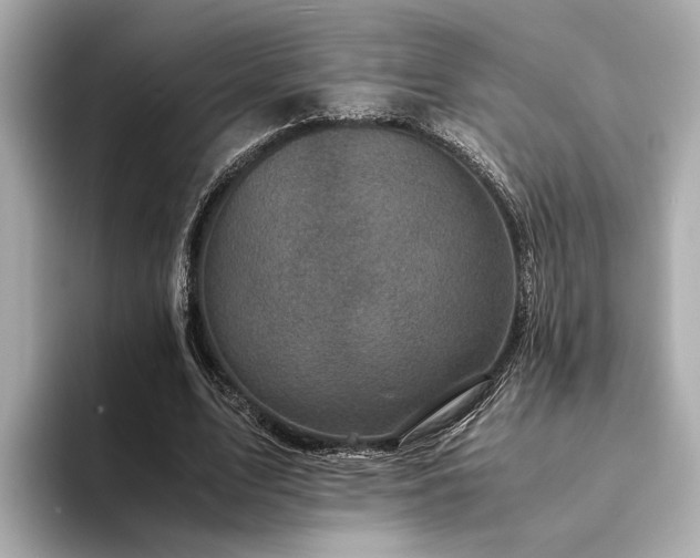 X0000094340583200711021452
