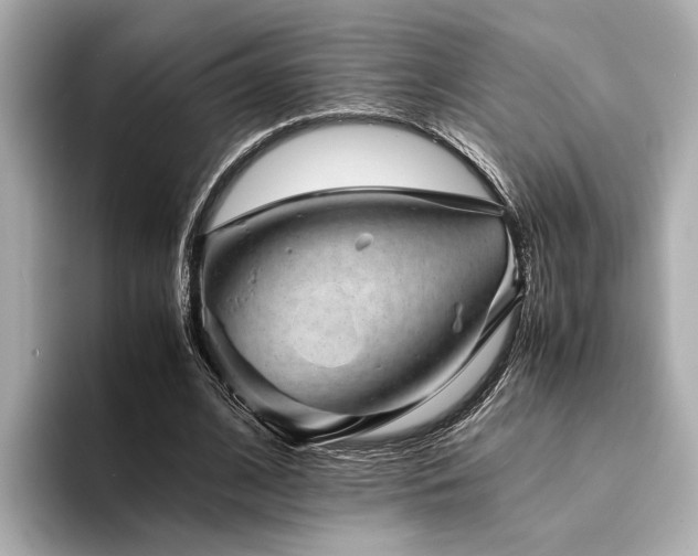 X0000094340584200711021452