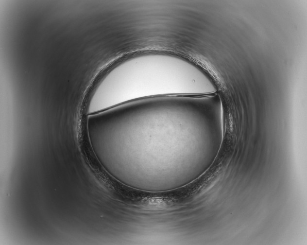 X0000094340588200711021452